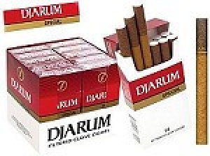 Djarum Filtered Clove Cigars Special