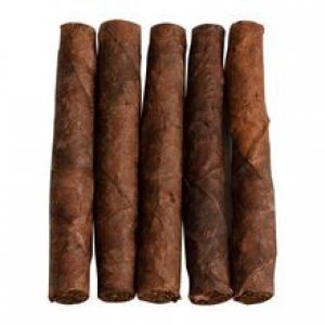 Parodi Speciale Cigar 10/5 Packs